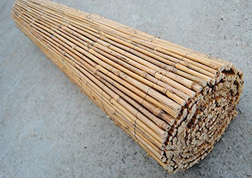 Abaseen Natural Reed Fence Screening | Wind Screen