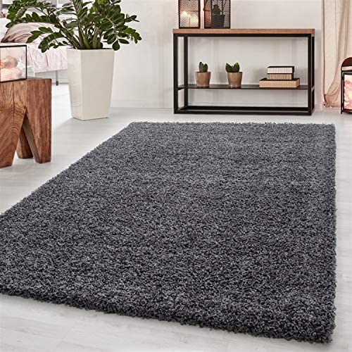 Abaseen Fluffy Dark Grey Rug Living Room Are Non-Slip Washable Rugs